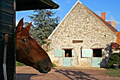 Equestrian Center, Rio Javar, Farges-Allichamps, Cher (18), France