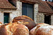 Baked Round Loaves, Beville-Le-Comte, The Wheat Route, Eure-Et-Loir (28), France