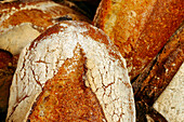 Bread Made With Wheat From The Beauce, Eure-Et-Loir (28), France