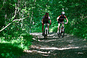 Mountain Biking In The Forest, Saint-Maur Sur Le Loir, Eure-Et-Loir (28), France