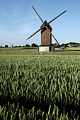The Windmill Of Sancheville, Eure-Et-Loir (28), France