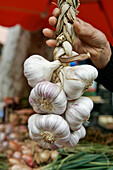 Garlic Tresses, Saunt-Aubin Market, Toulouse, Haute-Garonne (31), France