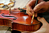 Atelier Arezzo, Stringed Instrument And Bow Makers, Making And Repairing Collectible Musical Instruments, Cellos And Violins, City Of Toulouse, Haute-Garonne (31), France