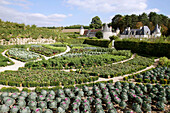 The Vegetable Gardens At The Chateau De La Chatonniere, Azay-Le-Rideau, Indre-Et-Loire (37), France