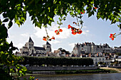 Banks Of The Cher, Saint-Aignan, Loir-Et-Cher (41), France