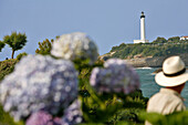Lighthouse And Hydrangea On The Oceanfront, Biarritz, Basque Country, Basque Coast