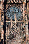 Rose Window In The Strasbourg Cathedral, Strasbourg, Bas Rhin (67), Alsace, France, Europe