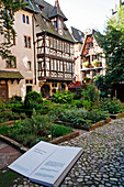Garden At The Oeuvre Notre-Dame, Strasbourg, Bas Rhin (67), Alsace, France, Europe