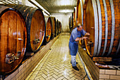 Wine Cellar Of The Rolly-Gassmann Estate, Rorschwihr, Alsace Wine Road, Haut-Rhin (68), Alsace, France
