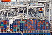 Container Boat Loading Gates, Terminal De France Port 2000, Commercial Port, Le Havre, Seine-Maritime (76), Normandy