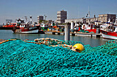 Nets On The Fishing Port In Front Of Buildings By The Architect Auguste Perret, Classed As World Heritage By Unesco, Le Havre, Seine-Maritime (76), Normandy, France