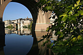 Pont-Neuf Bridge, Albi, Tarn (81), France