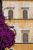 Building Facade, Rome