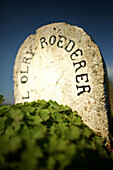 Stone Markers From The Vineyards Of The Great Champagne Makers, Roedrer, Marne (51)