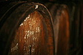 Alsatian Casks (Tuns, Barrels), Clape Wine Cellar, North Rhone Valley, Cornas Wine-Growing Region, Vineyard, Ardeche (07)