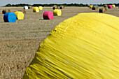 Balls Of Colored Straw, Euroland Art, 1St European Festival Of Life-Size Art On The Wheat Route In Beauce, Eure Et Loir