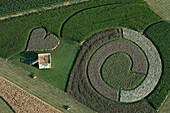 Fields In The Beauce, Authueil, Giant Plant Sculpture Representing The European Continent, Euroland Art, 1St European Festival Of Life-Size Art On The Wheat Route In Beauce, Eure Et Loir