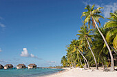 Beach, Coconut Palms And Bungalows On Piles At The Hotel Tikehau Pearl Beach Resort, Tikehau Island, Tuamotu Islands, French Polynesia