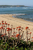 Sunbathers On The Beach, Vila Nova Das Milfontes, Alentejo, Portugal