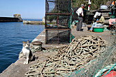 Fishing Port, Vila Nova Das Milfontes, Alentejo, Portugal