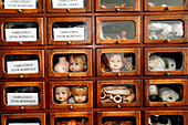 Boutique Workshop, Reparation Of Dolls, Hospital Das Bonecas, Praca De Figueira, Figueira Square, Portugal, Europe