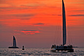 Backlit Catamarans And Sailboats At Sunset, Key West, Florida, Usa