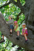 Girls sitting on a branch, Bavarian Alps, Upper Bavaria, Bavaria, Germany