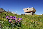 Mountain lodge on pasture, Ticino Alps, Canton of Ticino, Switzerland