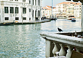 Canale Grande mit Vaporetto, Venedig, Venetien, Italien