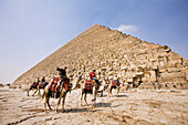 Kameltreiber vor Cheops Pyramide, Aegypten, Kairo
