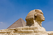 Grosse Sphinx von Gizeh vor der Cheops Pyramide, Aegypten, Kairo