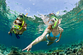 Skin Diving at Maldives, Maldives, Ellaidhoo House Reef, North Ari Atoll