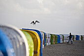 Colored beach chairs, Wyk, Foehr island, Schleswig-Holstein, Germany