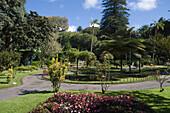 Stadtpark von Angra do Heroismo, Insel Terceira, Azoren, Portugal, Europa