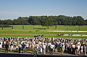 horse race, Neuen Bult Langenhagen, Hanover