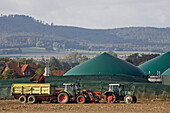 sugarbeet harvest, biogas plantrural landscape, biogas plant, northern Germany