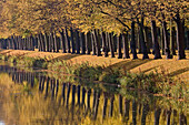 autumn, Graft, tree lines along water moat around the Great Garden Herrenhausen in Hanover, one of Europe's best preserved historic baroque gardens, Hanover, Lower Saxony, northern Germany