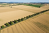 aerial view of fields in Calenberger Land, tree-lined country road, region Hanover, Lower Saxony, northern Germany