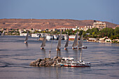 Feluken auf dem Nil, Assuan, Ägypten