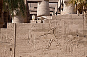 Wall Relief at Karnak Temple, Luxor, Egypt