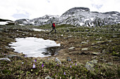 Woman hiking on Plasseggen Pass, Montafon, Vorarlberg, Austria