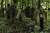 Jüdischer Friedhof, Berlin-Weissensee, Er gilt als der größte erhaltene jüdische Friedhof Europas, Berlin, Deutschland, Europa