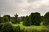 garden, Ilmpark, Weimar, Thuringia, Germany, Europe