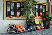 Decoration with pumpkins, Prichsenstadt, Franconia, Bavaria, Germany