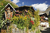 Farmhouses with garden, Vinschgau, South Tyrol, Italy