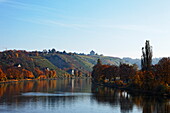 Weinberge am Neckar, Münster-Stuttgart, Baden-Württemberg, Deutschland