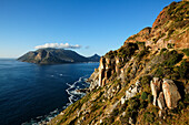 Chapman's Peak Drive, Kapstadt, West-Kap, RSA, Südafrika, Afrika