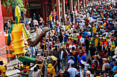 Football world cup final draw, 04.12.2009, fans celebrate the drawing of the first round, Long street, Capetown, Western Cape, South Africa, Africa