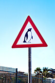 Pinguin Warnschild, Boulders Beach, Kapstadt, Western Cape, Südafrika, Afrika