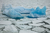 Blue iceberg in heavy pack ice,  northern Ross Sea